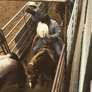 Meet your Posher, Nile